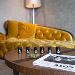 Definitive guide for anyone looking to purchase marijuana and other cannabis products in Prague