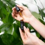 Prague’s Vibrant Cannabis Scene: A Guide to Shops, Regulations, and Products