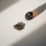 Prague Cannabis Shop: Online Delivery and Premium Strains
