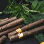 Professional Hemp Delivery Service in Prague