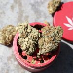 Planning a trip to Prague and curious about the local cannabis culture?