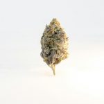 Premium THC Joints and Cannabis Delivery in Prague