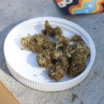 Hemp Delivery in Prague: Legal Landscape, Pricing, and Ordering Guide
