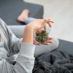 High-Quality THC Joints in Prague: Your Trusted Cannabis Shop