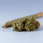 Prague THC Joint Store
