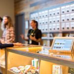 Prague Vape Shop: Your One-Stop Destination for THC, CBD, and Hemp Vapes