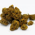 Welcome to the premier THC chocolates platform in Prague