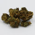 Prague THC Vape Delivery 24/7 Service
