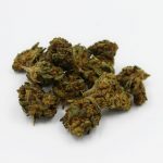 Welcome to the premier hemp supplier online shop in Prague