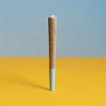 Fast and Discreet Cannabis Delivery in Prague