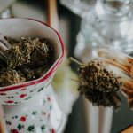 Prague cannabis store offers premium THC chocolate