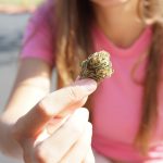 Welcome to your one‑stop destination for premium THC vape products in Prague