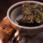 Prague has emerged as a vibrant hub for cannabis enthusiasts