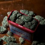 Prague Cannabis Shop: The Ultimate Online THC Delivery Experience img-3406.jpg