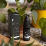 Top-Rated Hemp Supplier in Prague