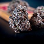 Prague THC Vape Guide: Legal, Safety, and Shopping Tips