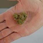 THC Joints Supplier in Prague