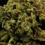 Looking for the best THC vape deals in the Czech Republic? img-398.jpg