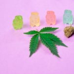 Looking for the finest THC‑infused chocolate in the Czech Republic?