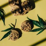 Cannabis in Prague: Legal Status and Buying Guide