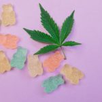 Reliable and Discreet Hemp Delivery in Prague
