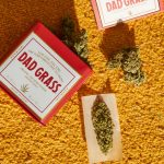 THC Vape Delivery in Prague