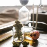 Hemp Premium in Prague img-602.jpg