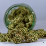 Prague THC Joints Online Store
