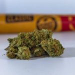 THC Chocolate Shop in Prague: A Growing Cannabis Market Opportunity img-731.jpg
