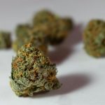 Why Prague Is the Ideal Spot for a Cannabis Retail Business img-832.jpg