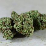 Prague Hemp Shop – Premium Hemp Products and Wholesale Options