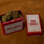 Weed Delivery Prague: Premium Cannabis Delivered Fast and Discreet