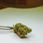 Fastest and Most Reliable Prague Cannabis Delivery Service img-931.jpg